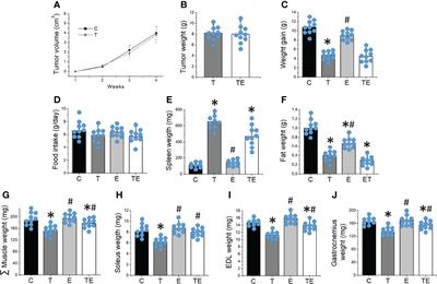 Resistance Training Attenuates Activation of STAT3 and Muscle Atrophy in Tumor-Bearing Mice